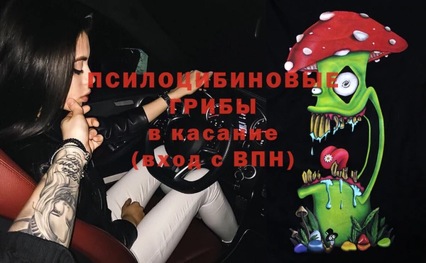 PSILOCYBIN Армянск