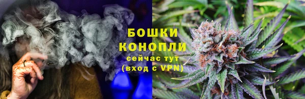 PSILOCYBIN Армянск